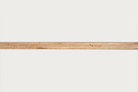 9mm 1220 x 2440 (8 x 4) Hardwood Throughout Chinese Class 2 Plywood (NON STRUCTURAL)